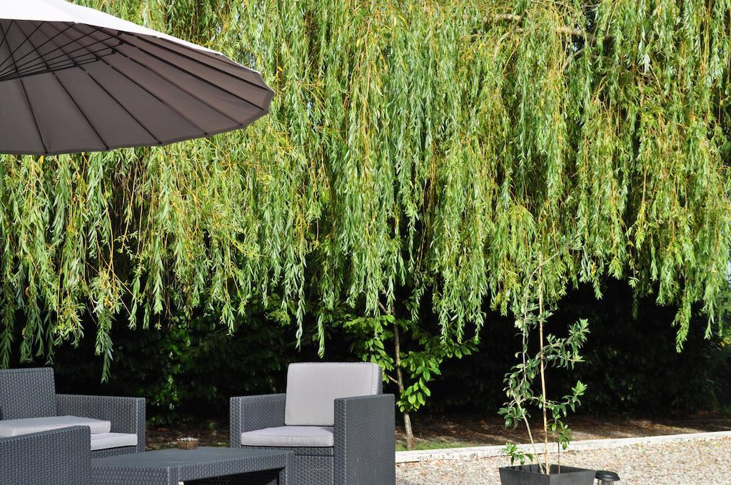Chambres D'Hotes La Grange Au Bois Champagne-et-Fontaine Ngoại thất bức ảnh